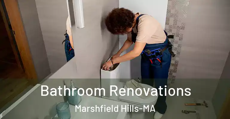 inner Bathroom imggen Bathroom Renovations Marshfield Hills-MA