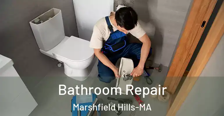 inner Bathroom imggen Bathroom Repair Marshfield Hills-MA