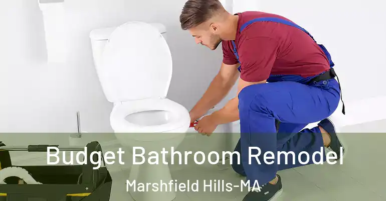 inner Bathroom imggen Budget Bathroom Remodel Marshfield Hills-MA