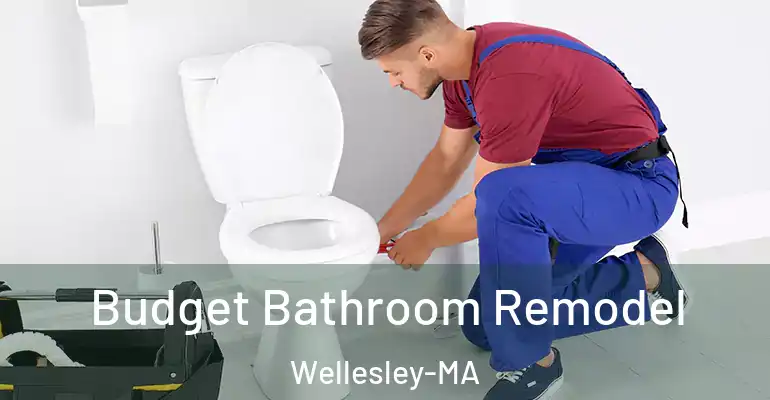 inner Bathroom imggen Budget Bathroom Remodel Wellesley-MA