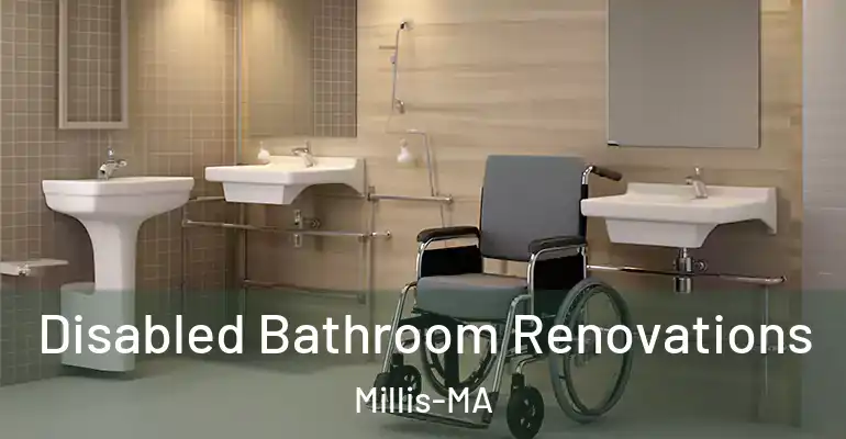 inner Bathroom imggen Disabled Bathroom Renovations Millis-MA