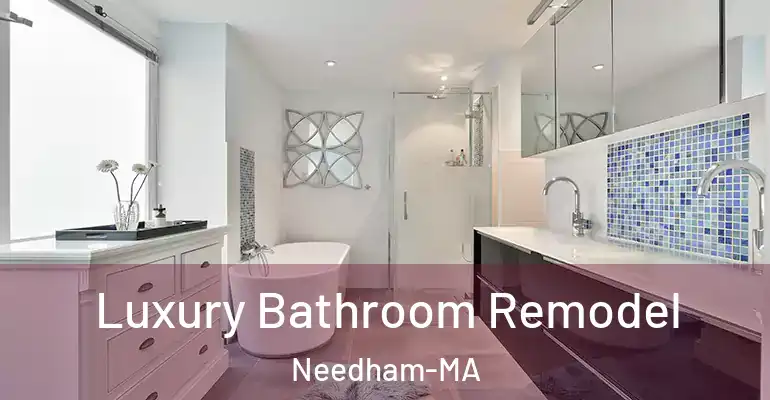 inner Bathroom imggen Luxury Bathroom Remodel Needham-MA