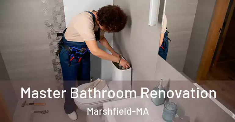 inner Bathroom imggen Master Bathroom Renovation Marshfield-MA