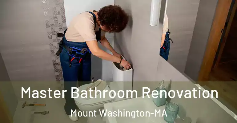 inner Bathroom imggen Master Bathroom Renovation Mount Washington-MA