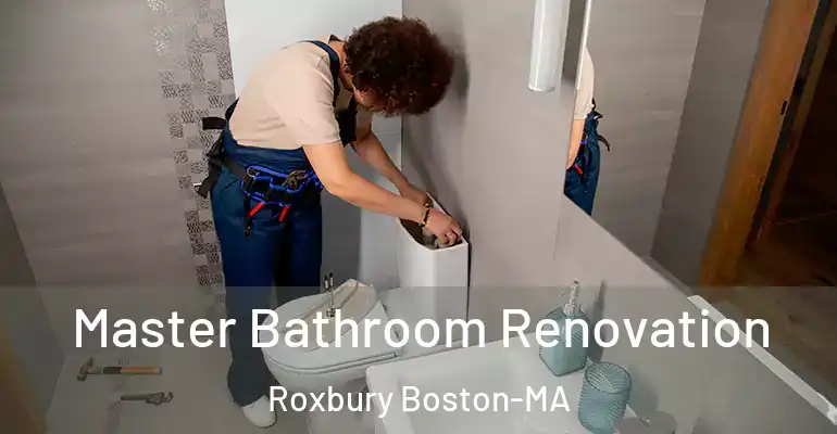 inner Bathroom imggen Master Bathroom Renovation Roxbury Boston-MA