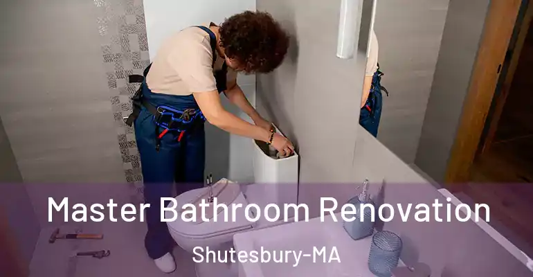 inner Bathroom imggen Master Bathroom Renovation Shutesbury-MA