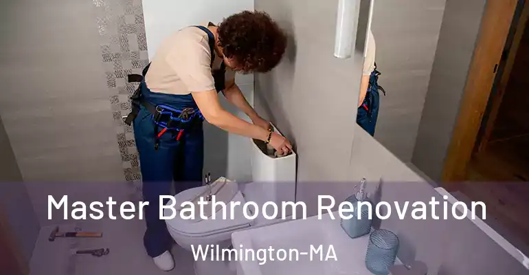 inner Bathroom imggen Master Bathroom Renovation Wilmington-MA