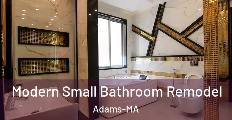 inner Bathroom imggen Modern Small Bathroom Remodel Adams-MA