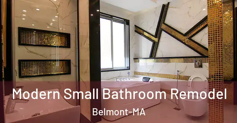 inner Bathroom imggen Modern Small Bathroom Remodel Belmont-MA