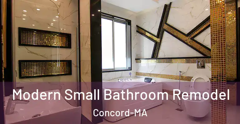 inner Bathroom imggen Modern Small Bathroom Remodel Concord-MA