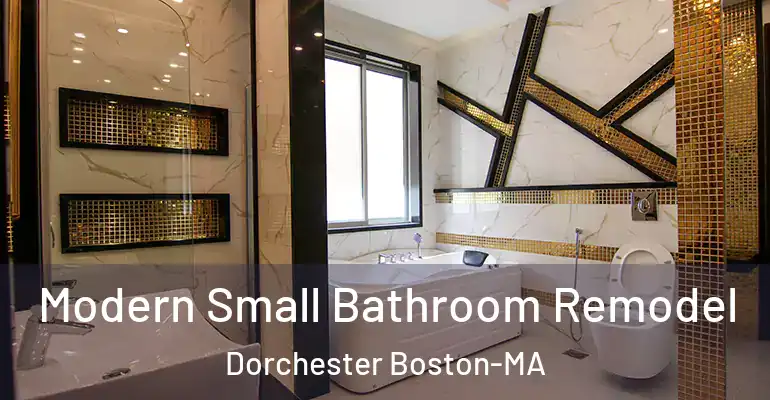 inner Bathroom imggen Modern Small Bathroom Remodel Dorchester Boston-MA
