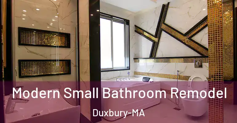 inner Bathroom imggen Modern Small Bathroom Remodel Duxbury-MA