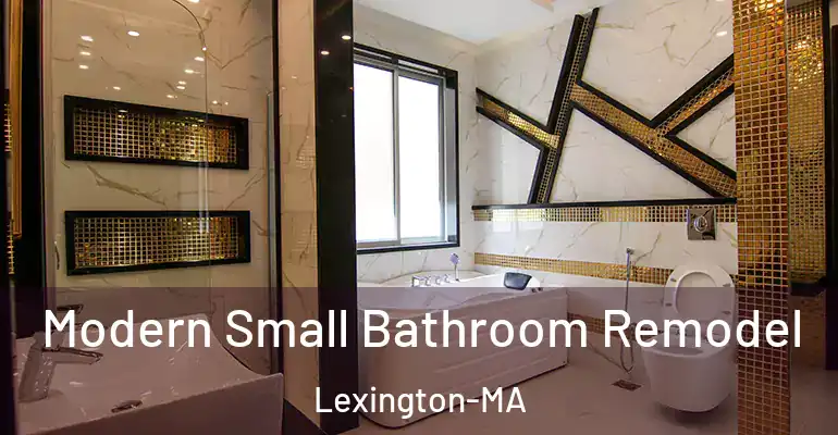 inner Bathroom imggen Modern Small Bathroom Remodel Lexington-MA