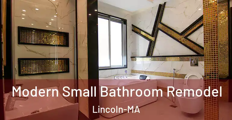 inner Bathroom imggen Modern Small Bathroom Remodel Lincoln-MA