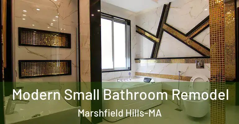 inner Bathroom imggen Modern Small Bathroom Remodel Marshfield Hills-MA