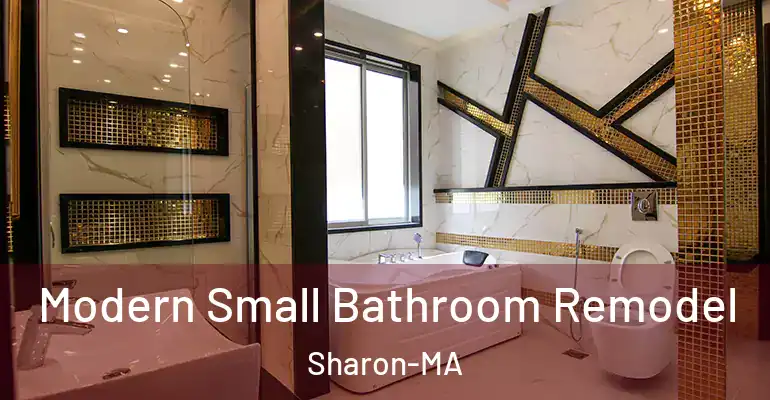 inner Bathroom imggen Modern Small Bathroom Remodel Sharon-MA