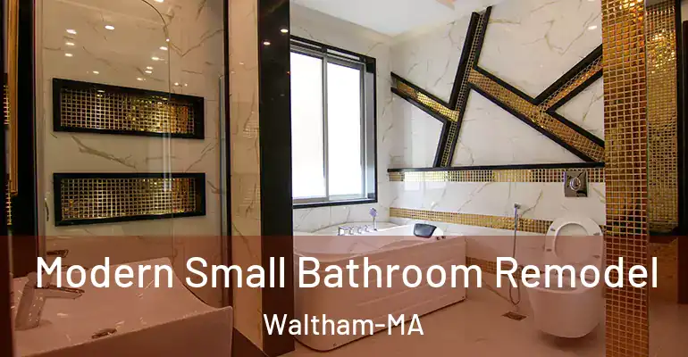 inner Bathroom imggen Modern Small Bathroom Remodel Waltham-MA