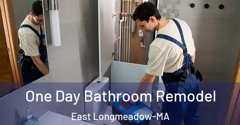 inner Bathroom imggen One Day Bathroom Remodel East Longmeadow-MA