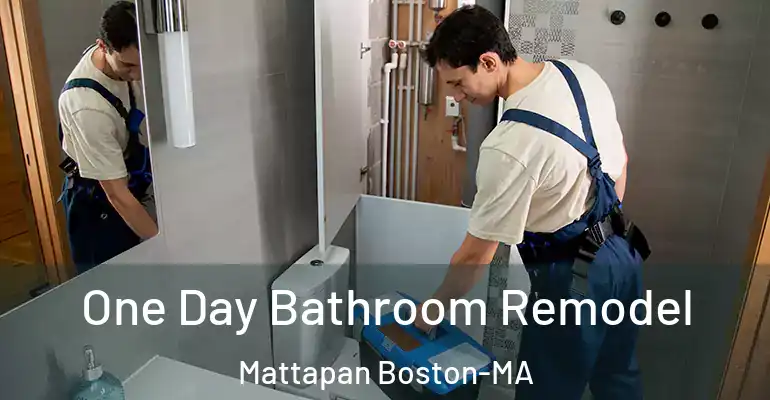 inner Bathroom imggen One Day Bathroom Remodel Mattapan Boston-MA