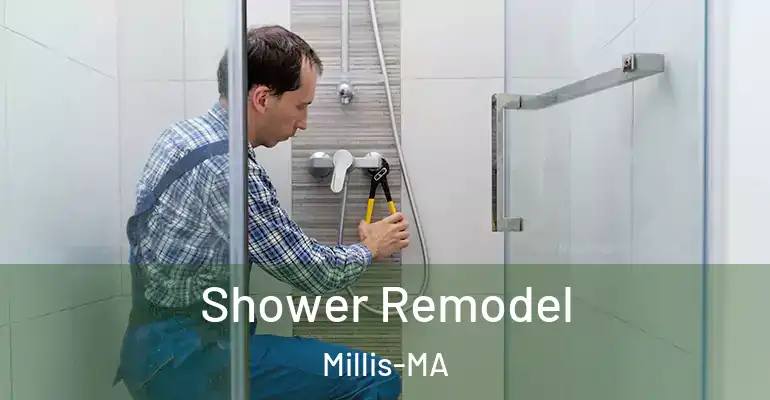 inner Bathroom imggen Shower Remodel Millis-MA