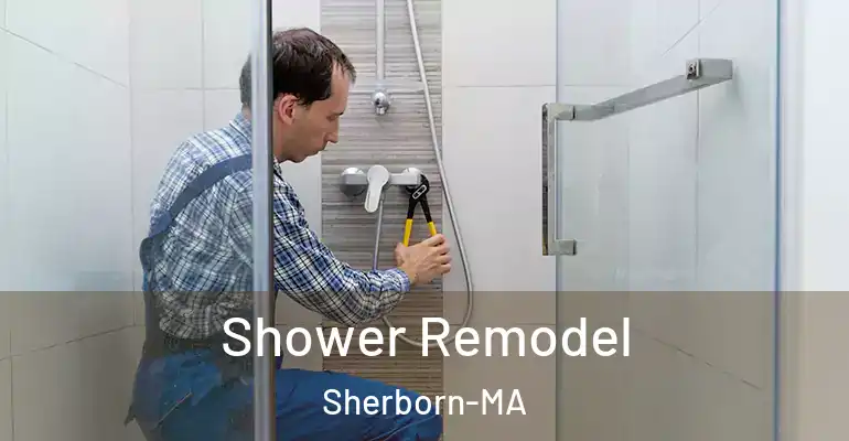 inner Bathroom imggen Shower Remodel Sherborn-MA