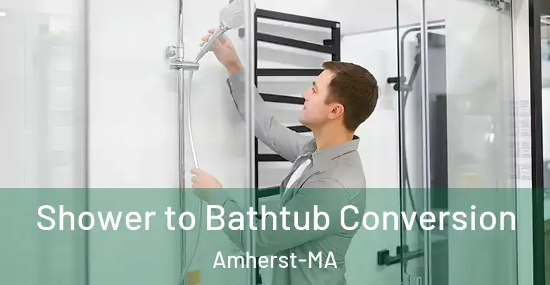 inner Bathroom imggen Shower to Bathtub Conversion Amherst-MA