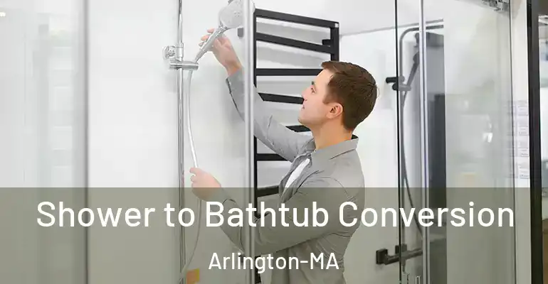 inner Bathroom imggen Shower to Bathtub Conversion Arlington-MA