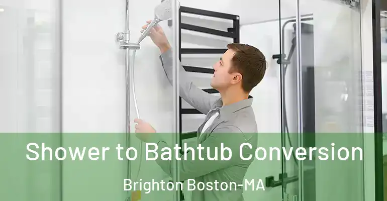 inner Bathroom imggen Shower to Bathtub Conversion Brighton Boston-MA