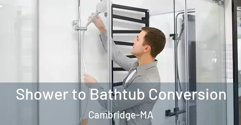 inner Bathroom imggen Shower to Bathtub Conversion Cambridge-MA