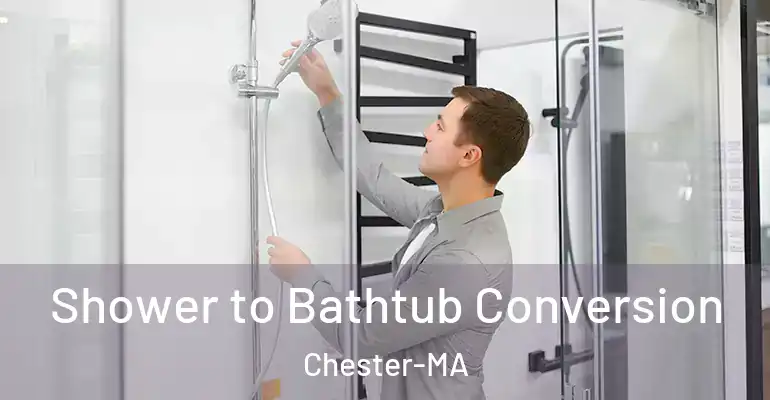 inner Bathroom imggen Shower to Bathtub Conversion Chester-MA