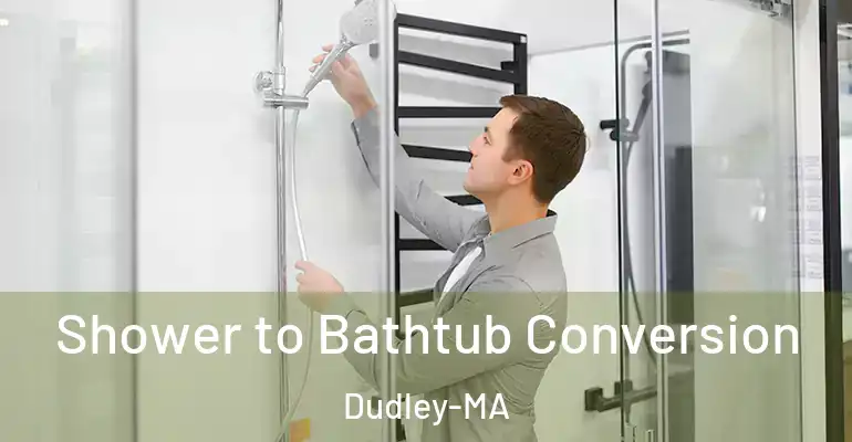 inner Bathroom imggen Shower to Bathtub Conversion Dudley-MA