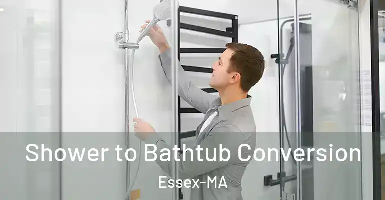 inner Bathroom imggen Shower to Bathtub Conversion Essex-MA