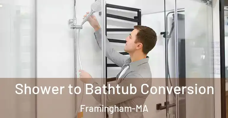 inner Bathroom imggen Shower to Bathtub Conversion Framingham-MA