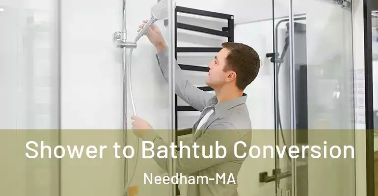 inner Bathroom imggen Shower to Bathtub Conversion Needham-MA