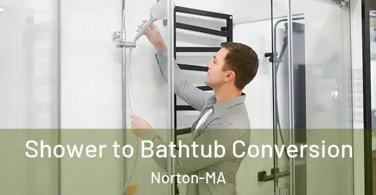 inner Bathroom imggen Shower to Bathtub Conversion Norton-MA