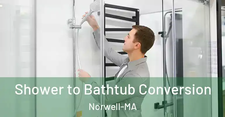 inner Bathroom imggen Shower to Bathtub Conversion Norwell-MA