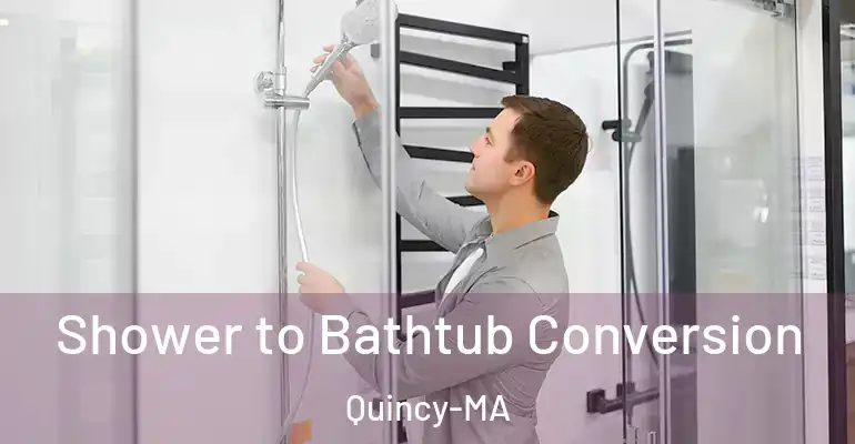 inner Bathroom imggen Shower to Bathtub Conversion Quincy-MA