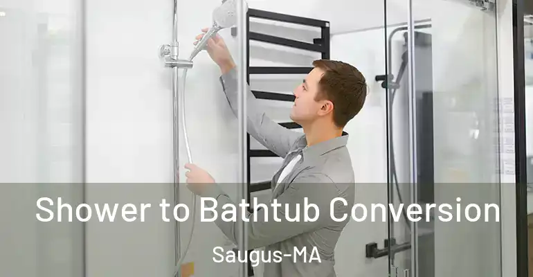 inner Bathroom imggen Shower to Bathtub Conversion Saugus-MA