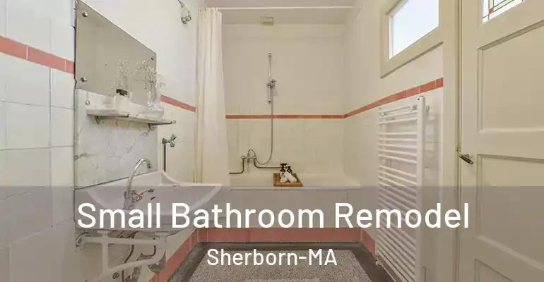 inner Bathroom imggen Small Bathroom Remodel Sherborn-MA