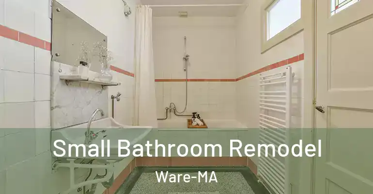 inner Bathroom imggen Small Bathroom Remodel Ware-MA