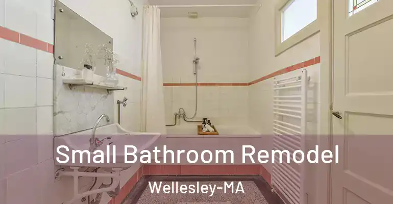 inner Bathroom imggen Small Bathroom Remodel Wellesley-MA