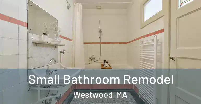 inner Bathroom imggen Small Bathroom Remodel Westwood-MA