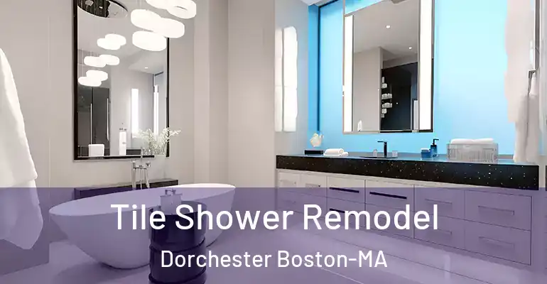 inner Bathroom imggen Tile Shower Remodel Dorchester Boston-MA