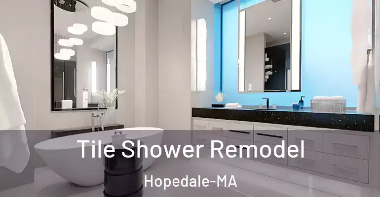 inner Bathroom imggen Tile Shower Remodel Hopedale-MA