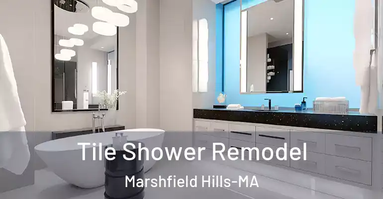 inner Bathroom imggen Tile Shower Remodel Marshfield Hills-MA