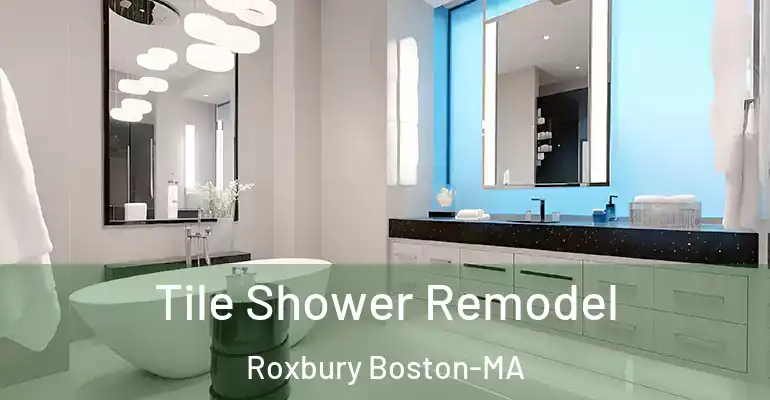 inner Bathroom imggen Tile Shower Remodel Roxbury Boston-MA