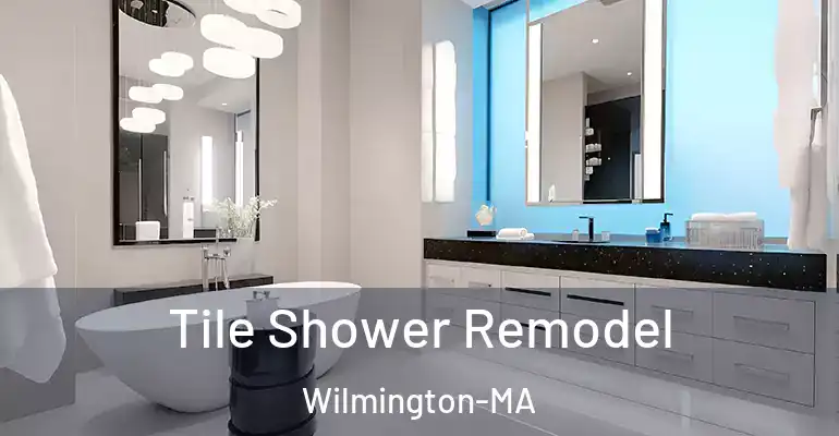 inner Bathroom imggen Tile Shower Remodel Wilmington-MA