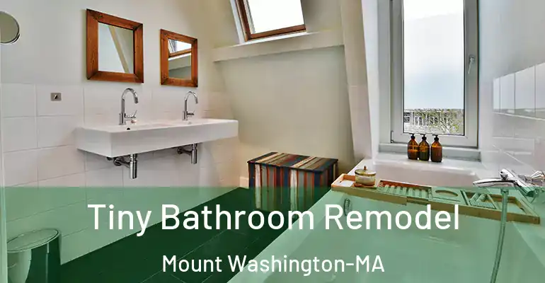 inner Bathroom imggen Tiny Bathroom Remodel Mount Washington-MA