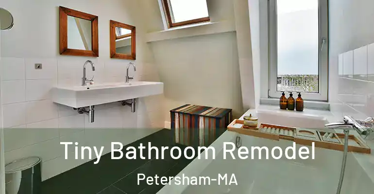 inner Bathroom imggen Tiny Bathroom Remodel Petersham-MA