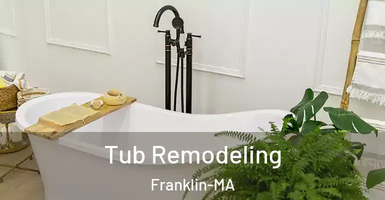 inner Bathroom imggen Tub Remodeling Franklin-MA